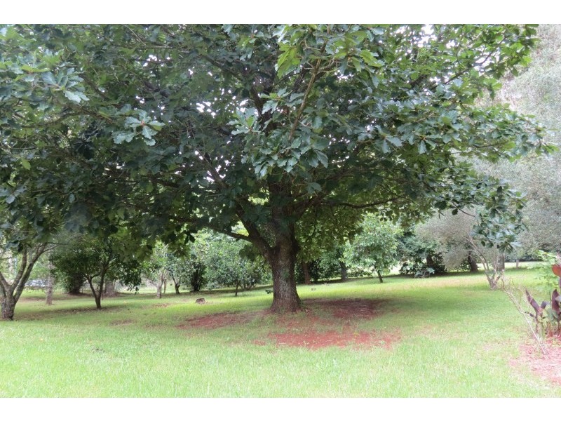 2 McGuinness Drive, Robertson NSW 2577