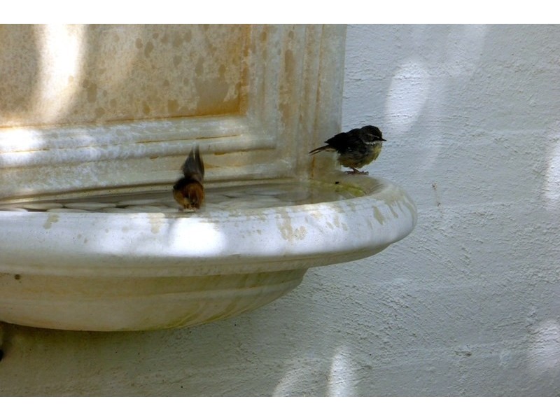 29 Centennial Road, Bowral NSW 2576