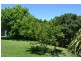 19 Lavis Road, Bowral NSW 2576