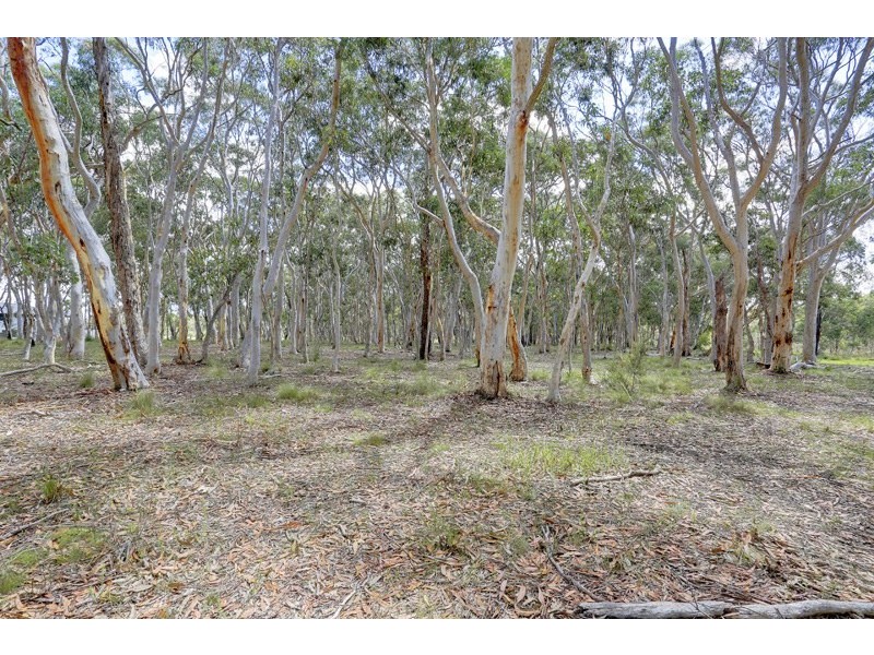 120 Shale Lane, High Range NSW 2575