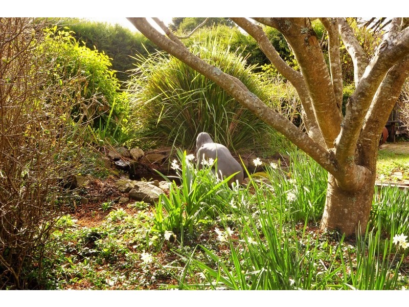 8 Swan Street, Robertson NSW 2577