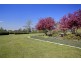 40 Joadja Road, High Range NSW 2575