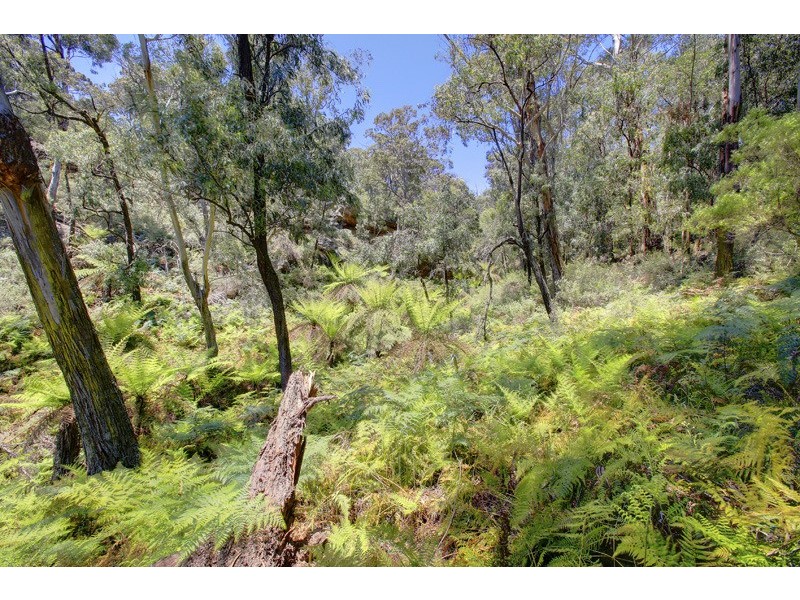 430 Tugalong Road, Canyonleigh NSW 2577