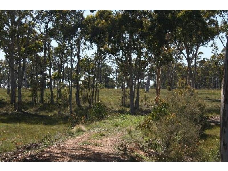 High Range NSW 2575