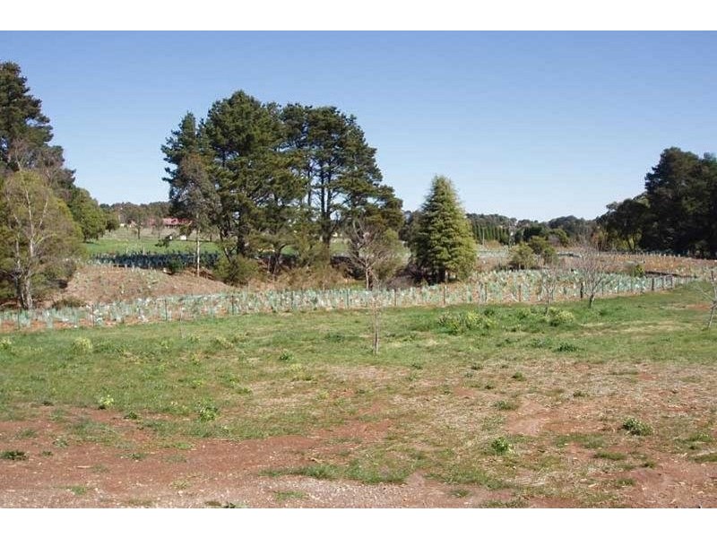 Robertson NSW 2577