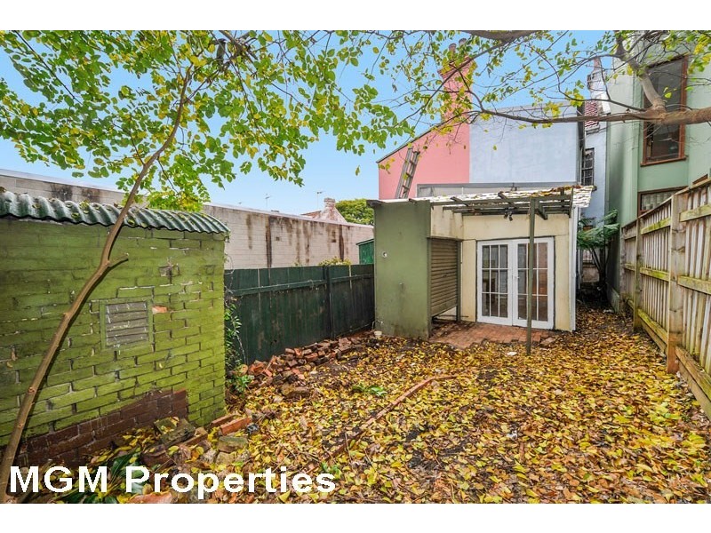 176 Wyndham Street, Alexandria NSW 2015