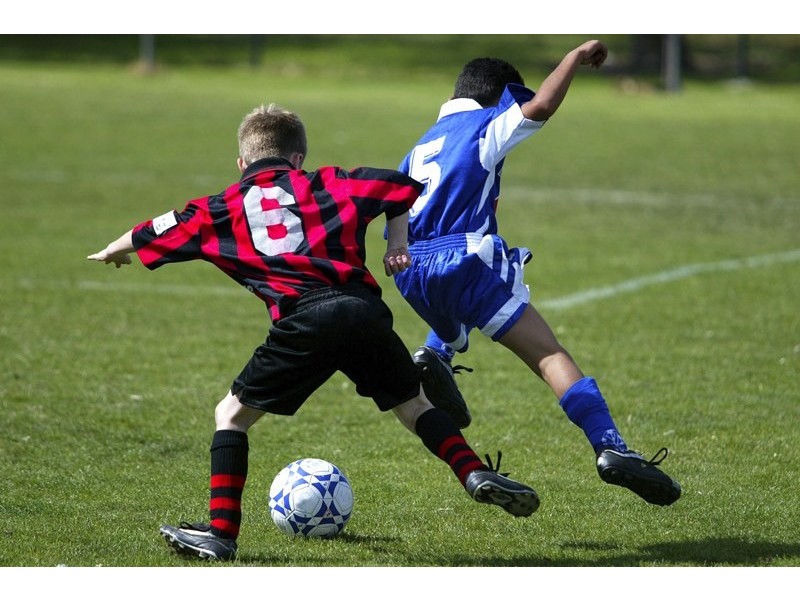 Unit 2/113-119 Cook Road, Centennial Park NSW 2021