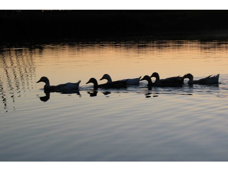 Unit 6/120 Alison Road, Randwick NSW 2031