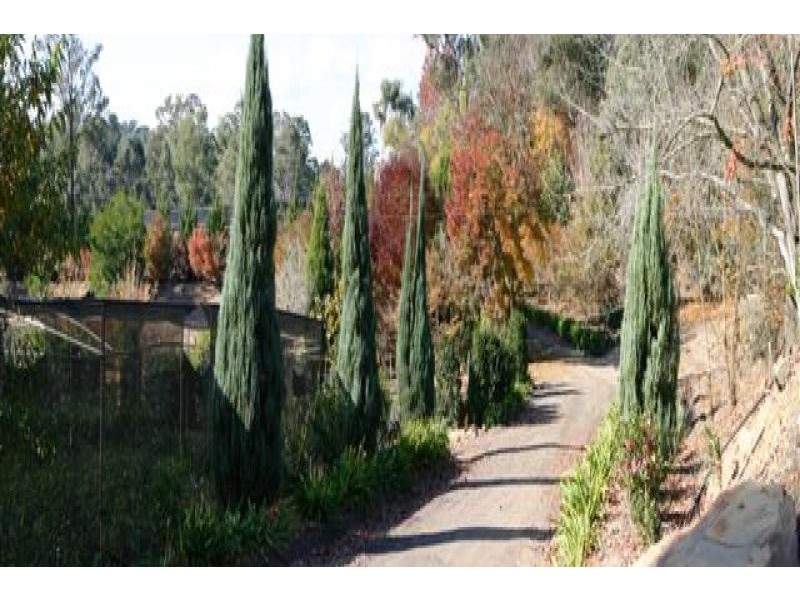 62-68 Uworra, Wilberforce NSW 2756