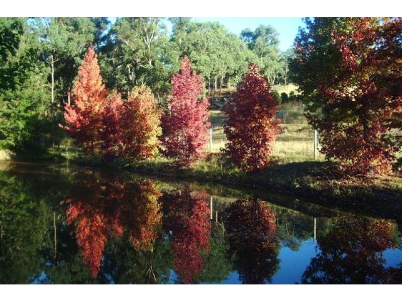 62-68 Uworra, Wilberforce NSW 2756