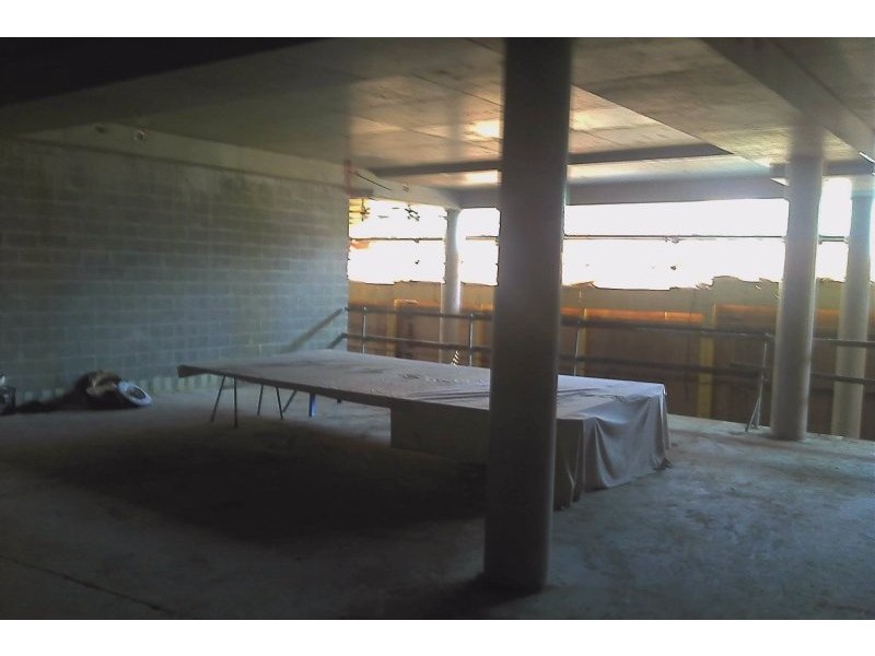 213 Botany Road, Waterloo NSW 2017