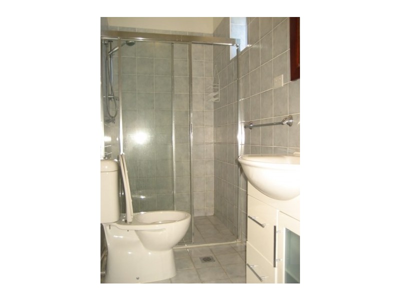 232 Rear Georges River Road, Croydon Park NSW 2133
