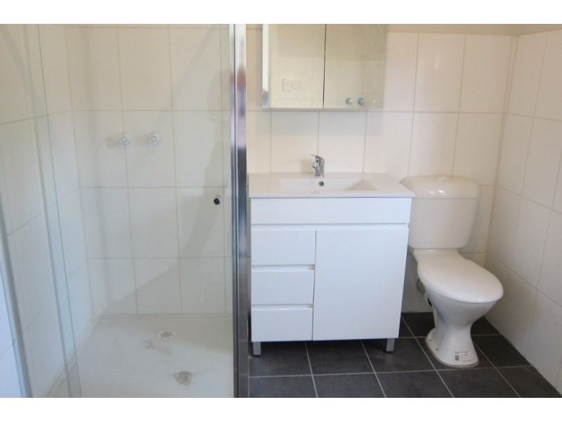 77 Mitchell Street, Croydon Park NSW 2133