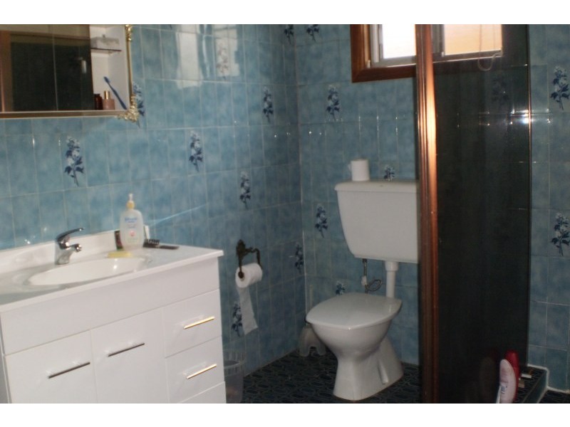 12 McKern Street, Campsie NSW 2194