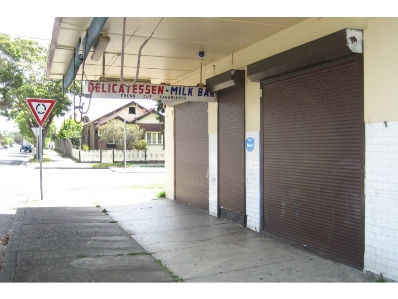 87 Baltimore Street, Belfield NSW 2191