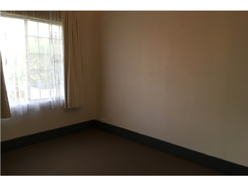 19 Robertson Street, Campsie NSW 2194