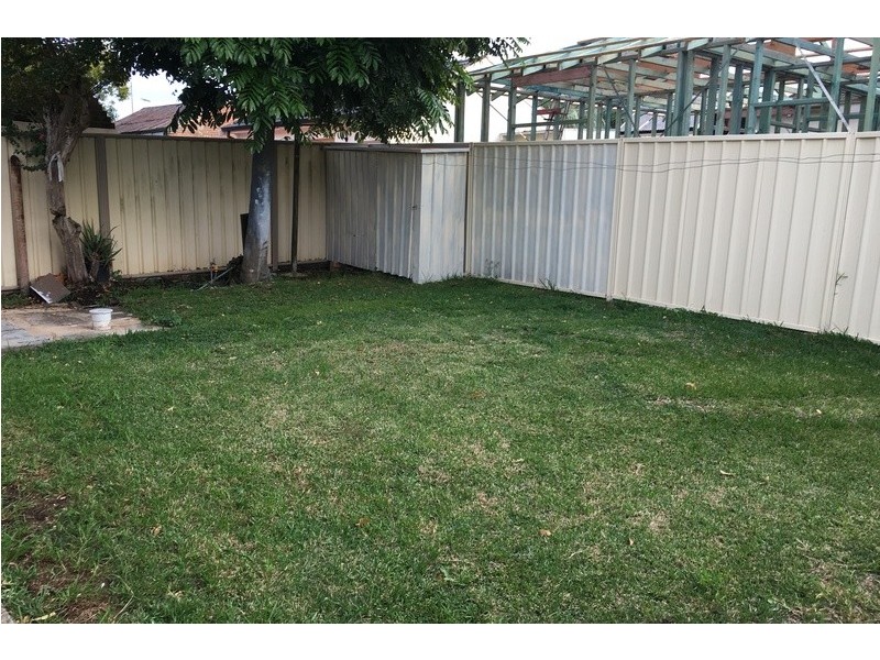 19 Robertson Street, Campsie NSW 2194