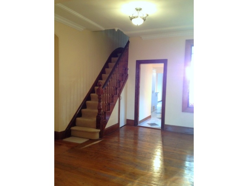 .56 Wells Street, Annandale NSW 2038