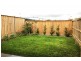 51 St Charbel Way, Greenacre NSW 2190