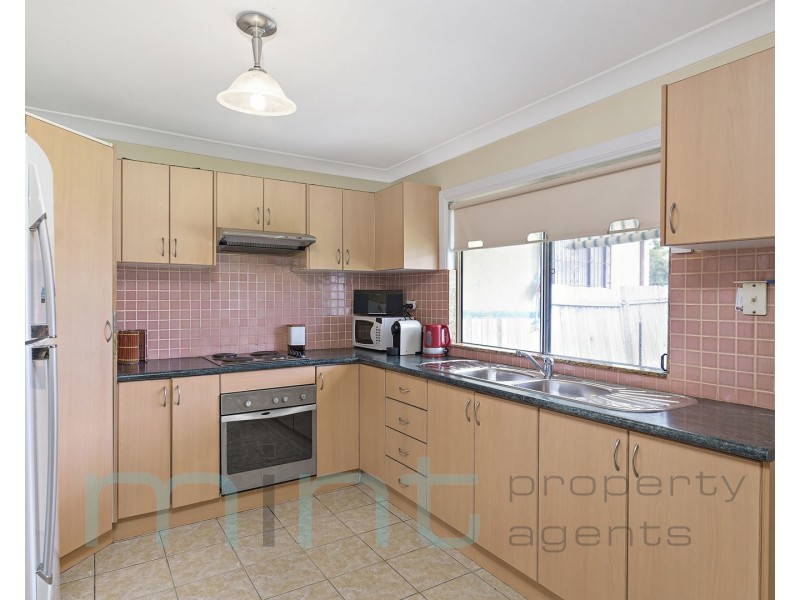 29 Fountain Avenue, Croydon Park NSW 2133