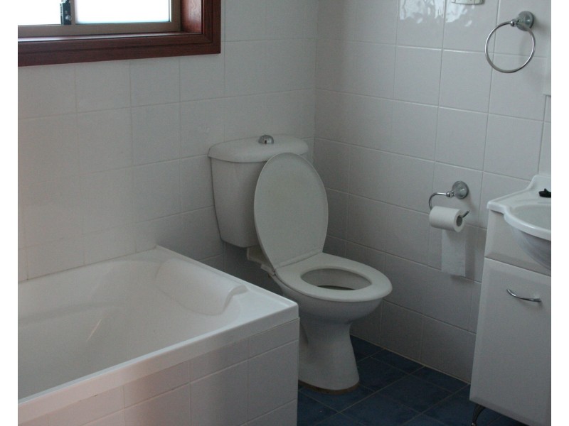 6 Scott Street, Punchbowl NSW 2196