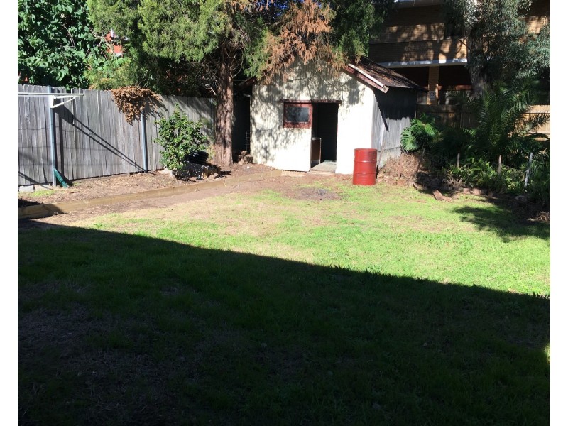 6 Comet Street, Ashfield NSW 2131