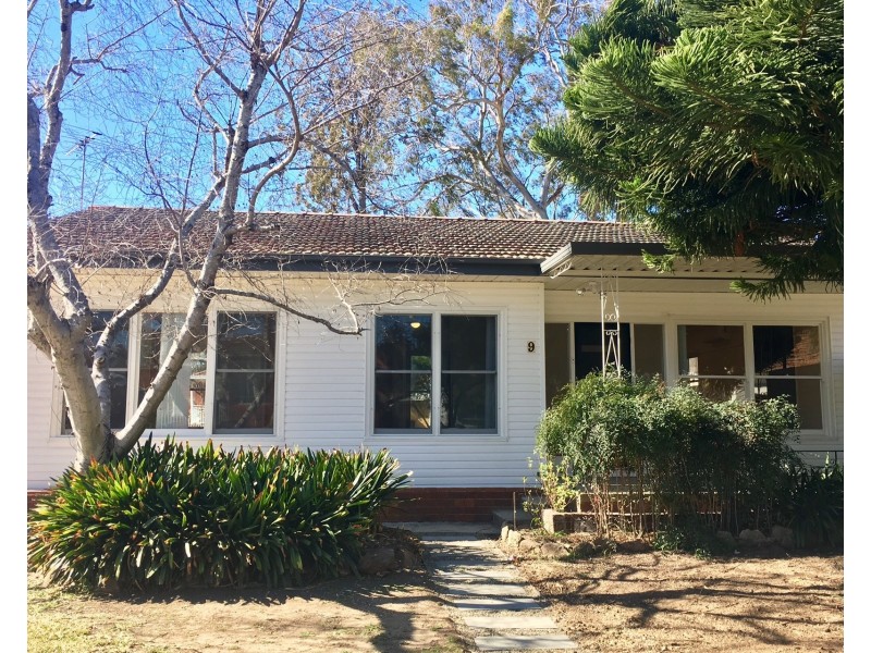 9 Glyn Street, Wiley Park NSW 2195