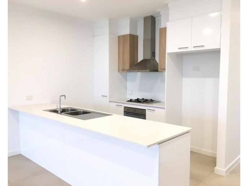 51 St Charbel Way, Mount Lewis NSW 2190