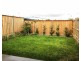 .51 St Charbel Way, Greenacre NSW 2190