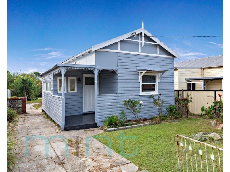 52 Rawson Street, Wiley Park NSW 2195