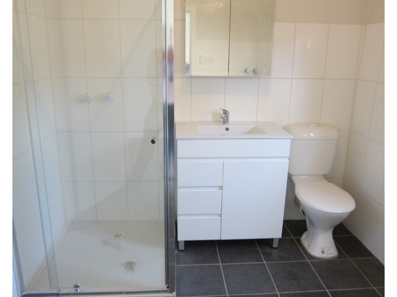 77 Mitchell Street, Croydon Park NSW 2133