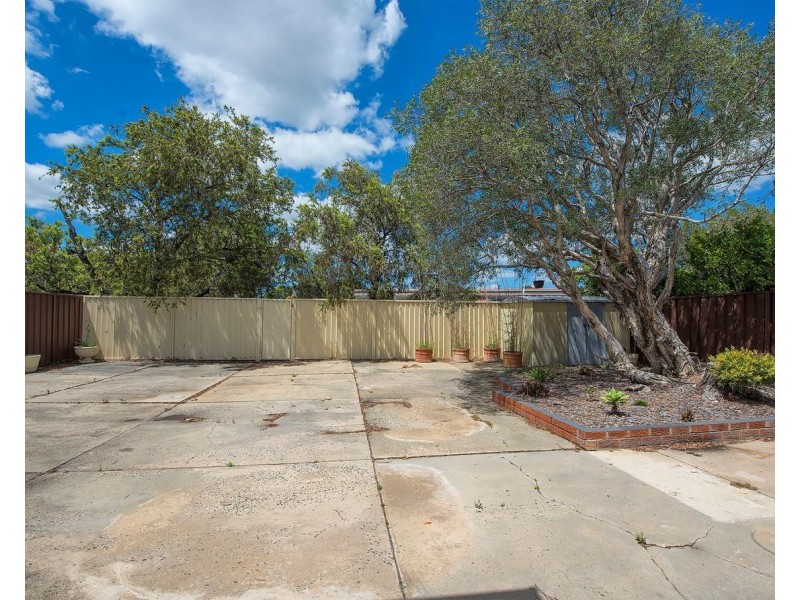 28 Cave Road, Strathfield NSW 2135