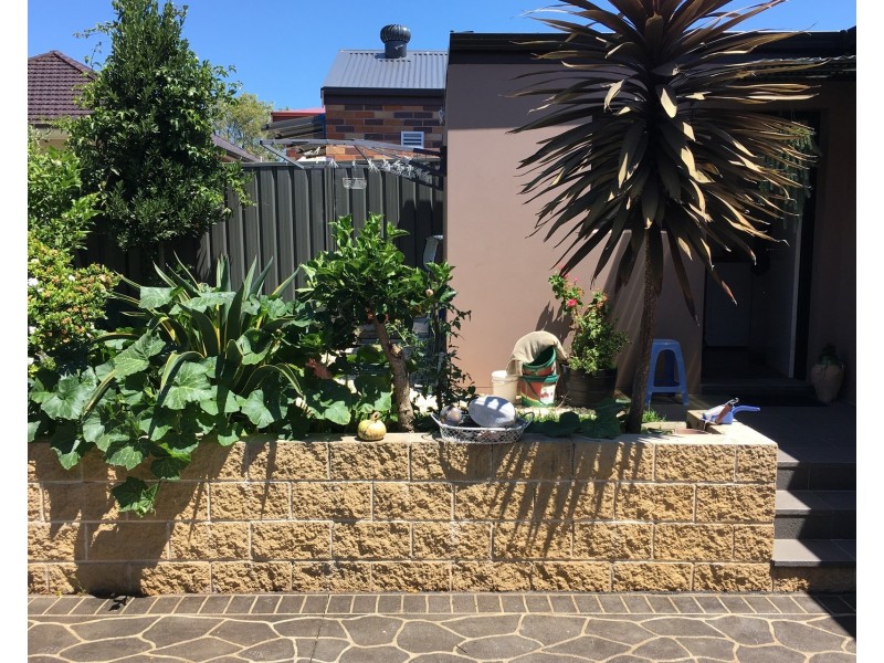 13 Chisholm Avenue, Clemton Park NSW 2206