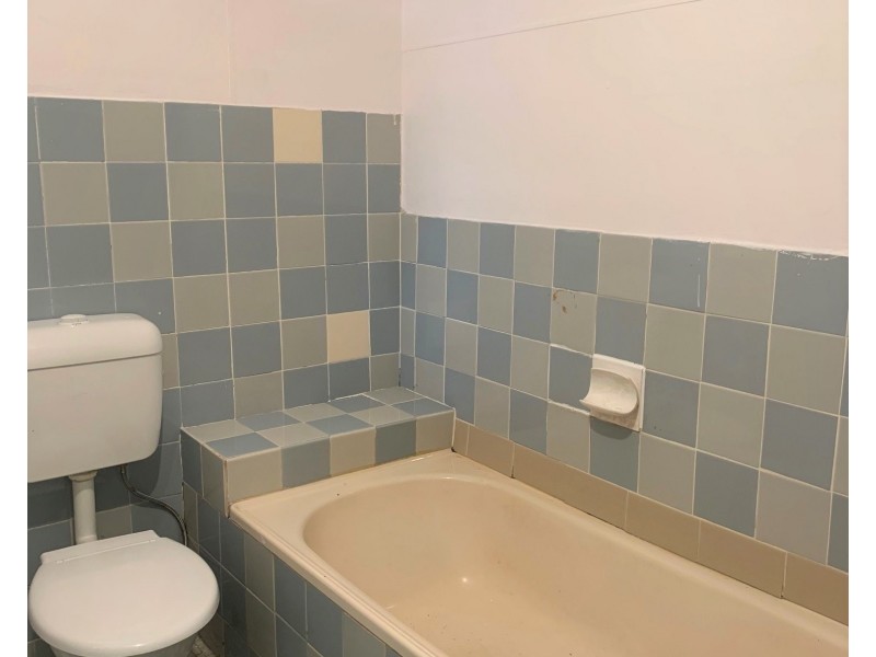 67 Windsor Avenue, Croydon Park NSW 2133