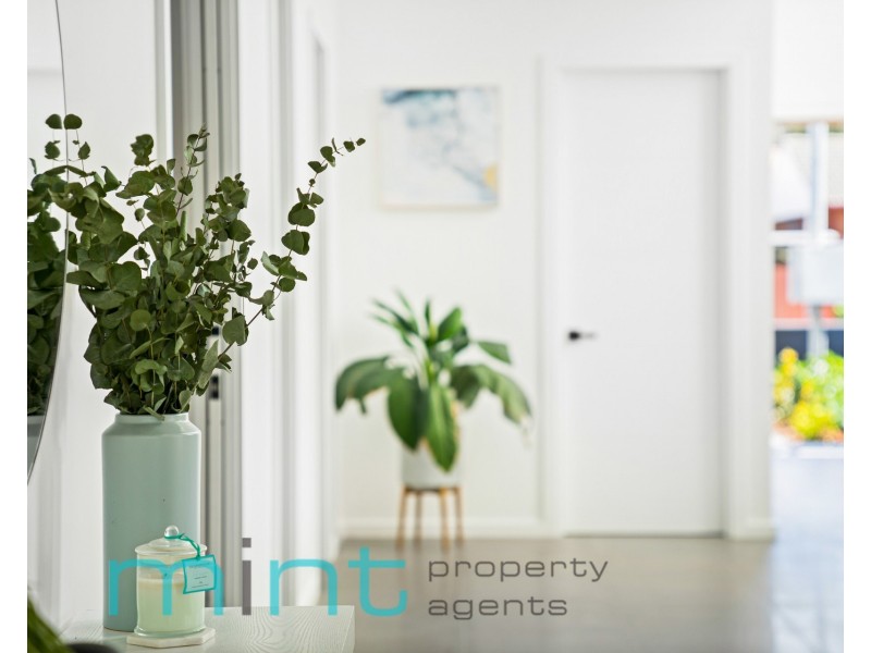 6 Windsor Avenue, Croydon Park NSW 2133