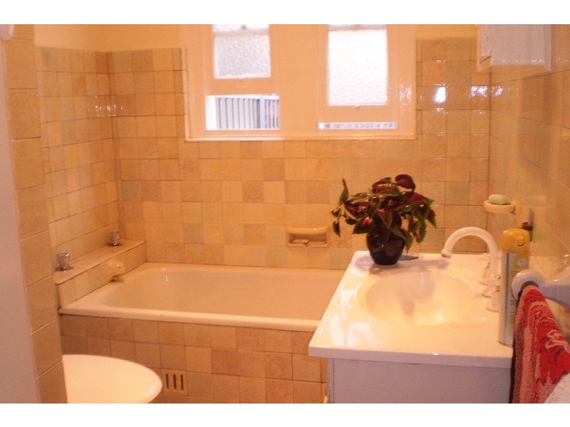 28 Jarrett Street, Clemton Park NSW 2206