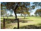 19 Kestal Place, Kewdale WA 6105