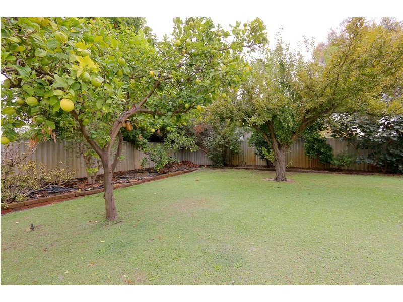 46 Morago Crescent, Cloverdale WA 6105