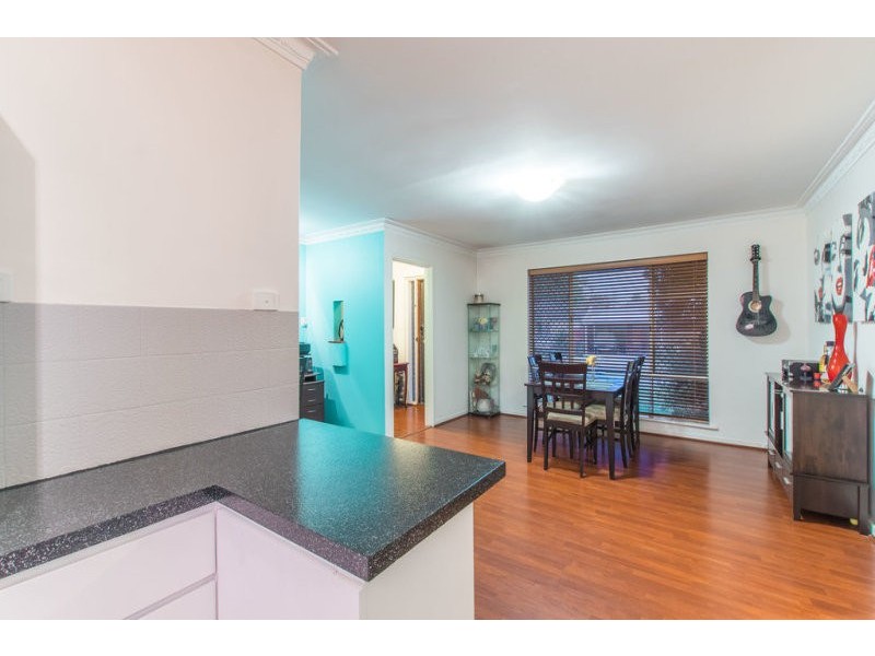 31 Barker Avenue, Balcatta WA 6021