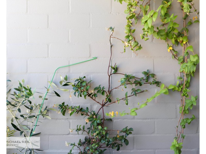 23/53 King George Street, Victoria Park WA 6100