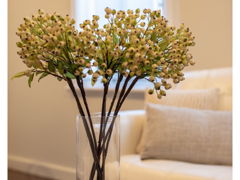 33 McMillan Street, Victoria Park WA 6100