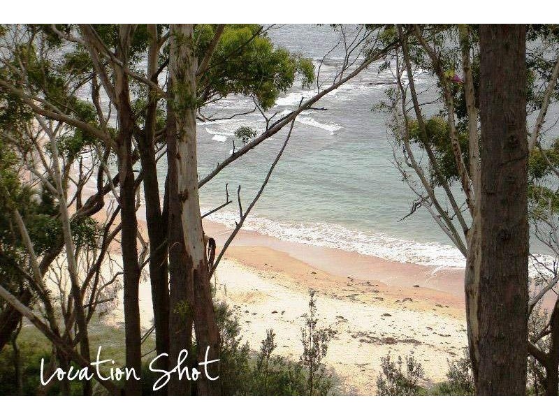 17 Holly Street, Bendalong NSW 2539