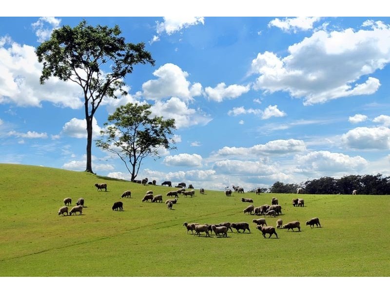 102 Mellows Road, Calderwood NSW 2527