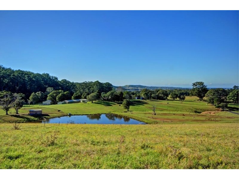 70 Paynes Road, Kembla Grange NSW 2526