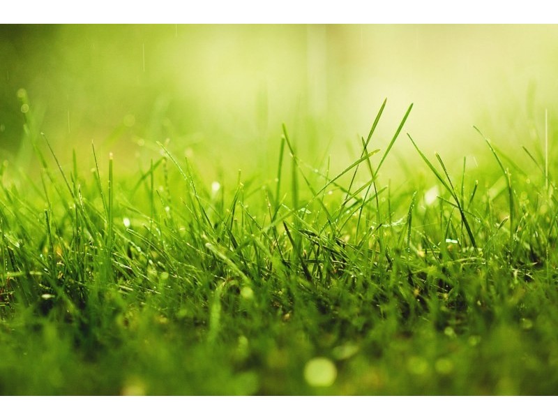 Lot 96,  Shone Avenue, Horsley NSW 2530