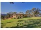 163 Avondale Colliery Road, Avondale NSW 2530