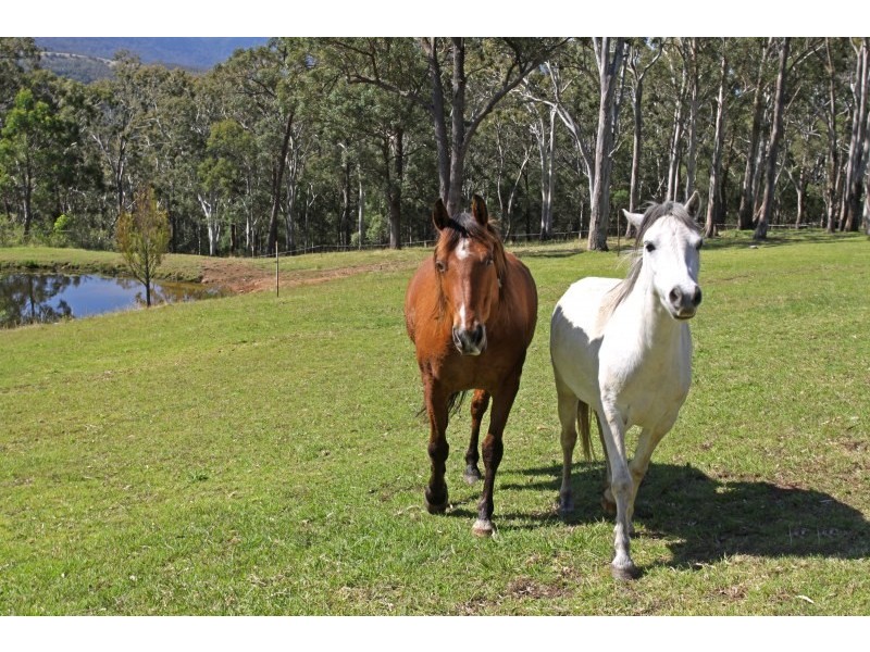 163 Avondale Colliery Road, Avondale NSW 2530