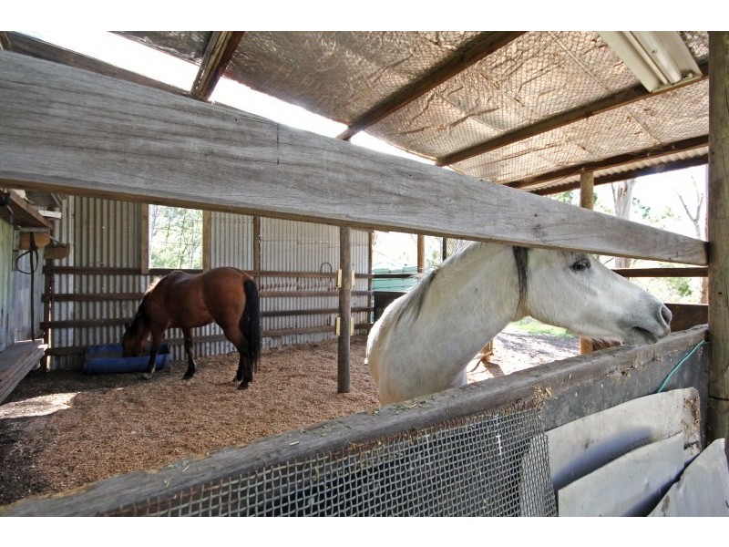 163 Avondale Colliery Road, Avondale NSW 2530