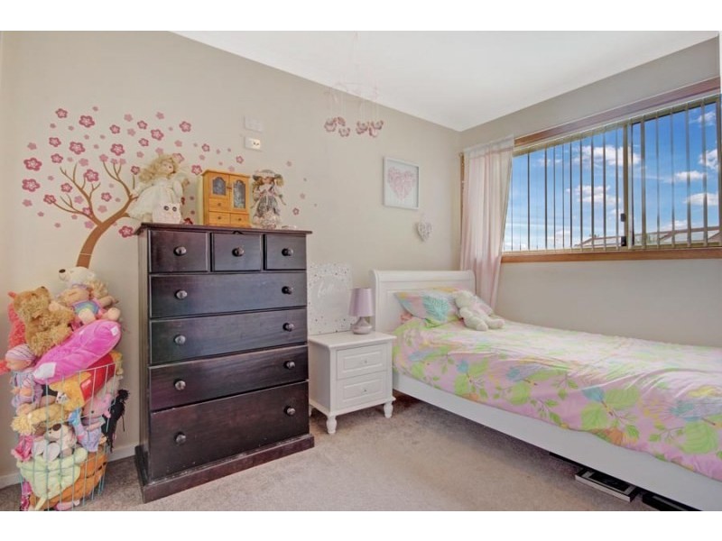 41 Palmer Avenue, Kanahooka NSW 2530