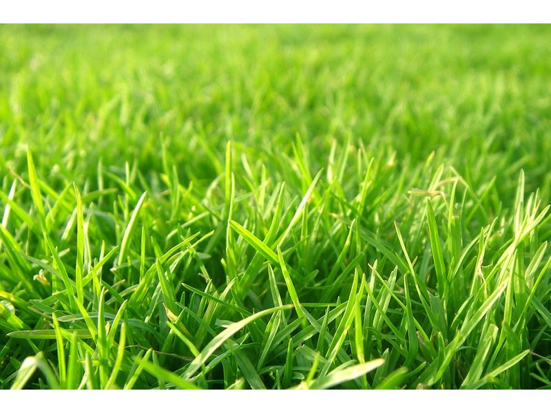 Lot 107,  Alkira Estate, Horsley NSW 2530